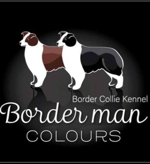 border man colours