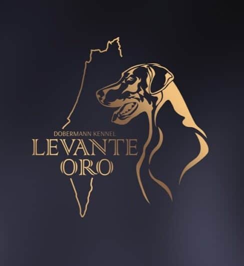 Levante Oro – בית גידול לגזע דוברמן