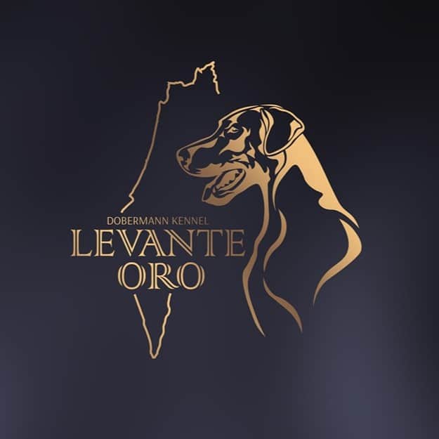 Levante Oro – בית גידול לגזע דוברמן